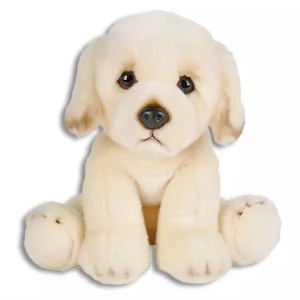 Golden retriever gift clearance items