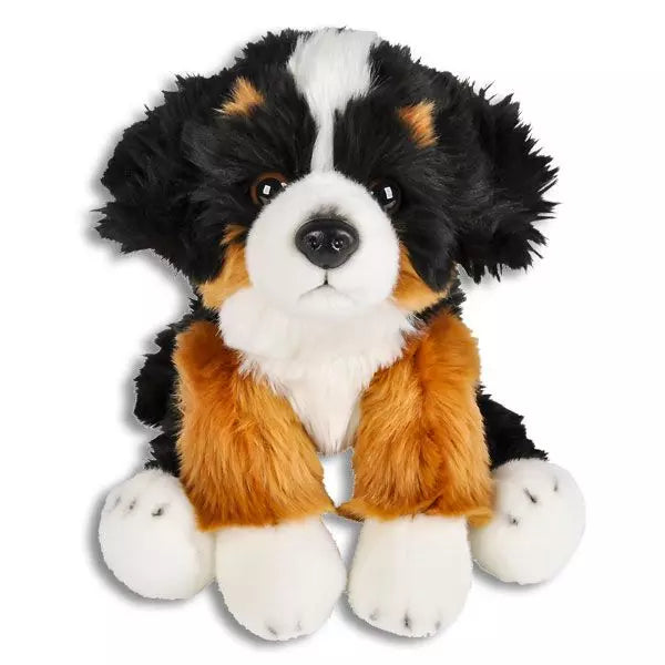 Bernese Mountain Dog
