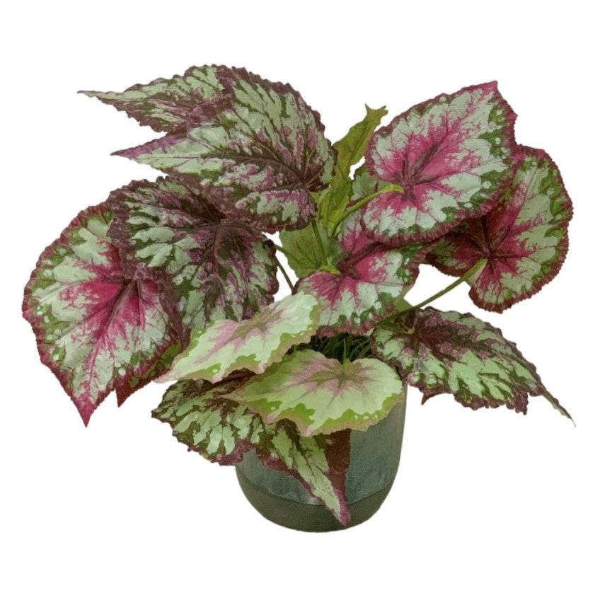 Everlasting Botanicals (Artificial)