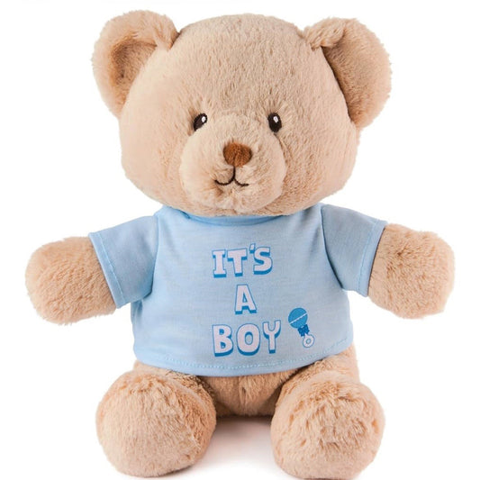 It's a BOY t-shirt Teddy
