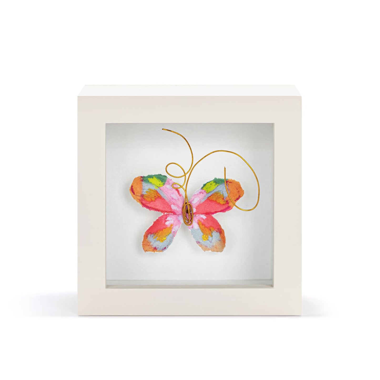 Living Boldy Butterfly Box Art - Elizabeth Hayes